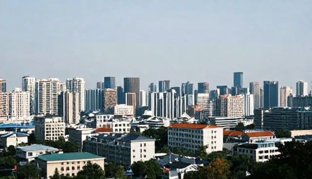 手机程序开发行业差异与信息查询限制