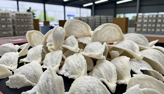 供应链效率如何影响商品销售的稳定性