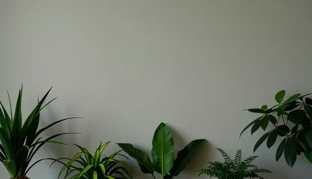 机油黏度选择对汽车使用寿命的影响原因