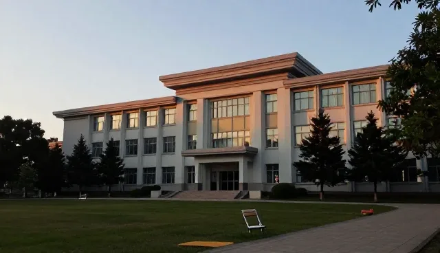 提升业务管理效率的项目咨询实践策略