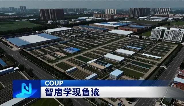 学习规划指导选型中的性能考量与实践