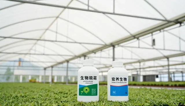如何科学选择农产品收购服务，提升农业技术应用效果