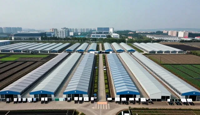 信息核查在高并发场景下的性能表现与适用条件分析
