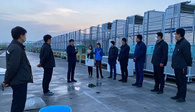 系统故障应对策略：使用与维护建议