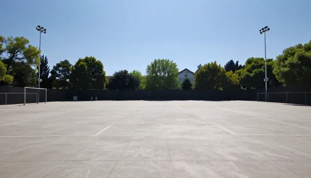 账号代运营在不同行业中的使用建议与实践