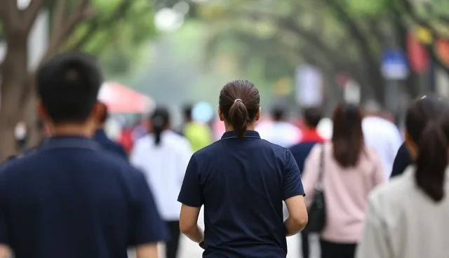 深圳网站设计公司：产品发布与工商查询服务的深度融合