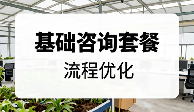 财税咨询中流程优化的常见问题与解决策略