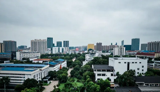 系统性能：定制化服务的适用条件与性能优化分析
