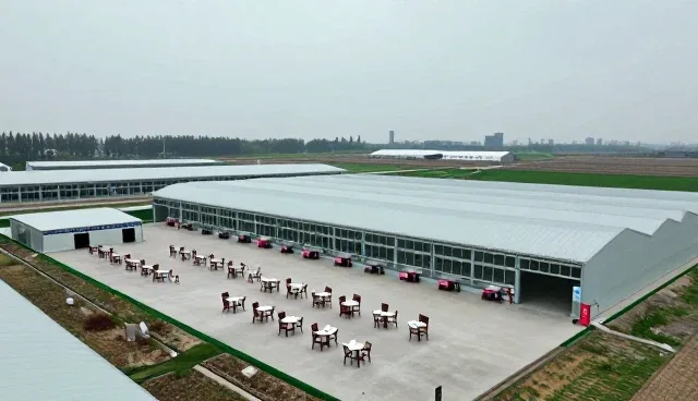 食品加工行业运输问题的挑战与应对策略
