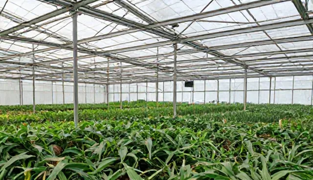 核对清单：APP开发维护关键检查要点