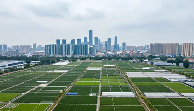 企业内训服务选型关注点与使用建议