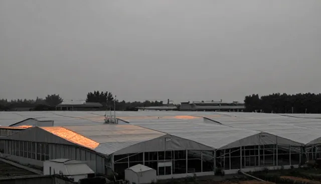 东莞网络营销中企业登记代理的性能差异检查要点