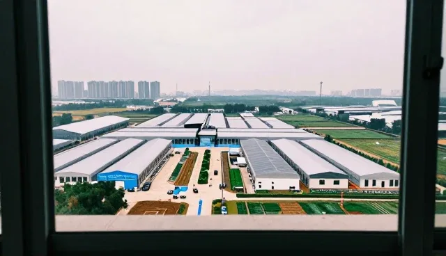 新媒体运营中的品牌活动策划：应用场景与趋势洞察
