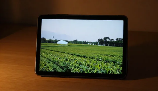 运维团队如何优化系统性能与适用条件