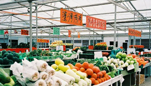 商务代理中风险控制的关键应用场景分析