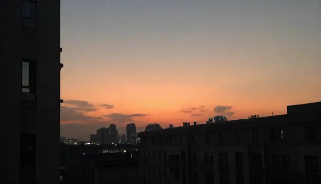 技术支持服务在性能与适用条件中的实际应用分析