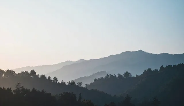 数据整合驱动业务场景深化应用