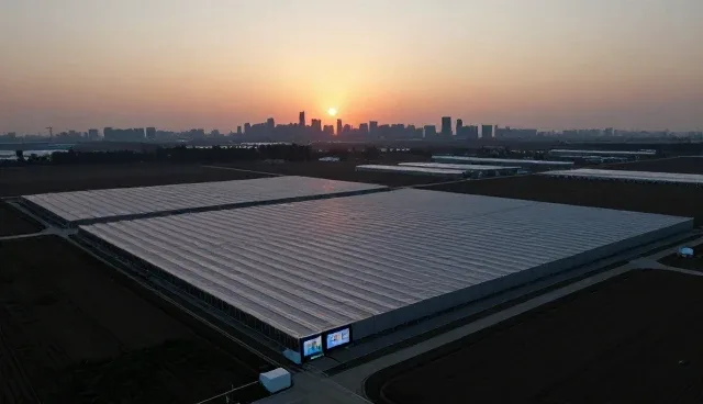 自动化设备选型中的周期稳定性与技术支持考量