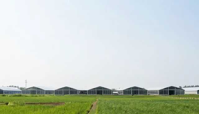 系统维护如何影响技术外包培训的性能与适用场景