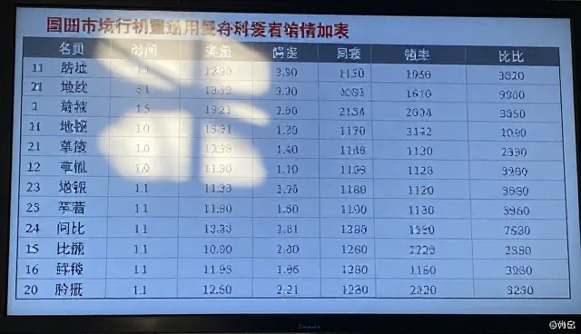 提升市场行情查询效率的关键操作技巧