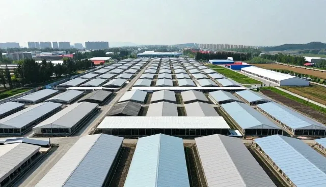 如何在定制家具选型中精准匹配空间需求