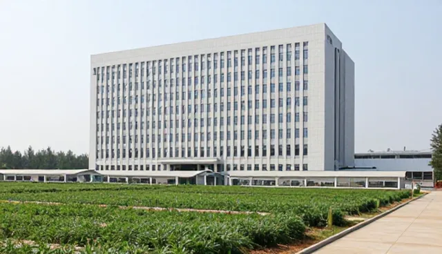 标准化示范基地建设如何提升供应链效率