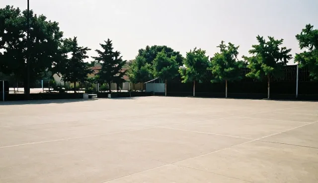 标准保洁套餐在不同家庭场景中的适用条件分析
