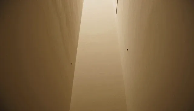 设计服务中的常见误区如何影响业务发展趋势