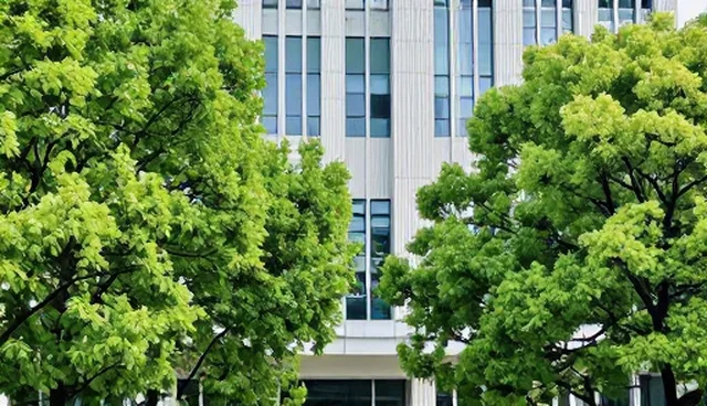 数字化转型下流程优化如何推动企业效率提升