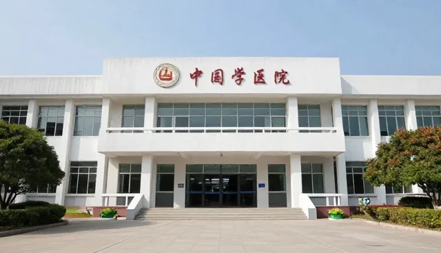 性能与适用条件的取舍：如何选择适合的方案