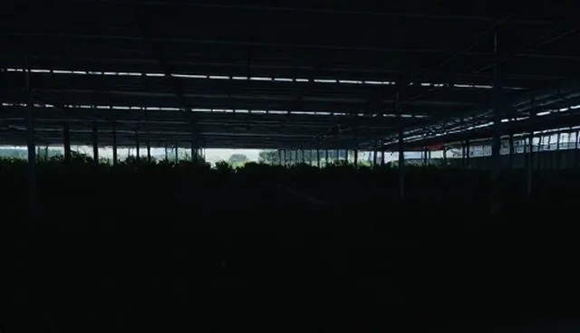 直播运营选型：市场洞察与核心关注点解析