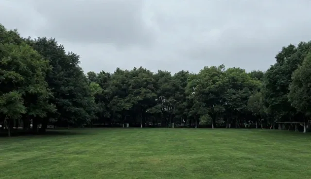实操教学视频课程如何赋能考试系统应用场景