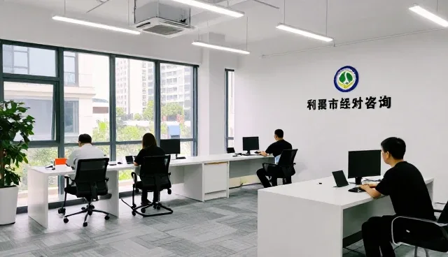 财税咨询在商务场景中的稳定性保障与限制
