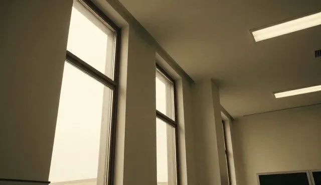 技术外包如何影响平台性能与适用场景