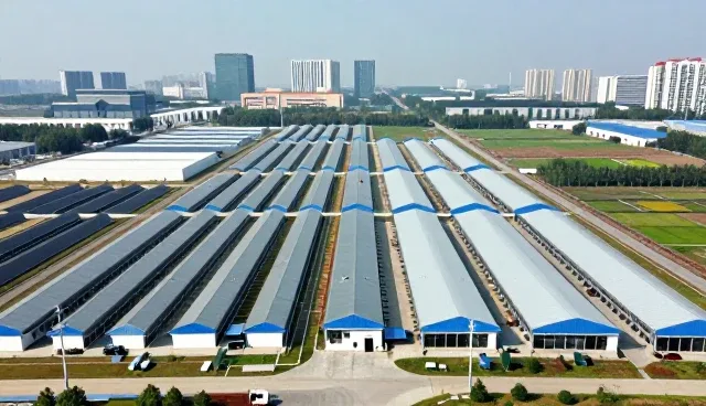 礼品采购业务中常见问题及应对策略