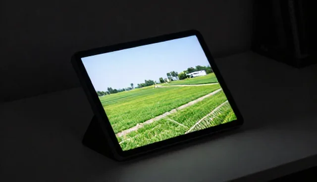 数字化转型中网站建设的两种路径对比分析