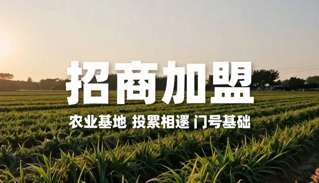 招商加盟业务趋势：信息展示如何重塑行业生态