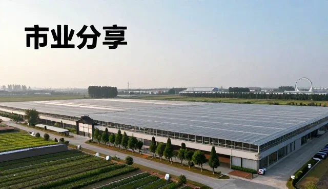 品牌建设：市场分析报告中的选型关注点