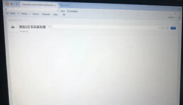 网络工程选型中域名配置的综合考量