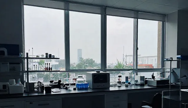 流程管理中技术支持的选型与使用建议