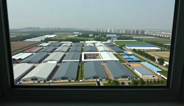系统集成中性能优化的关键问题与应对策略