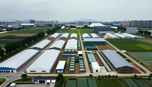 优化问题处理效率的关键实践路径