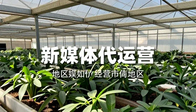 拍摄设备使用与维护的实用建议