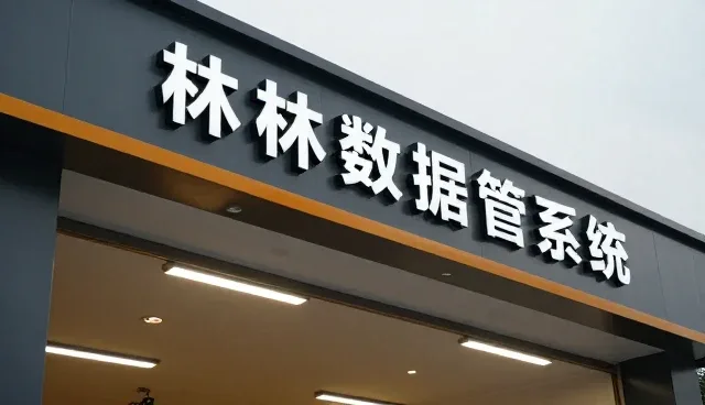 系统稳定性在技术外包中的选型关注点分析