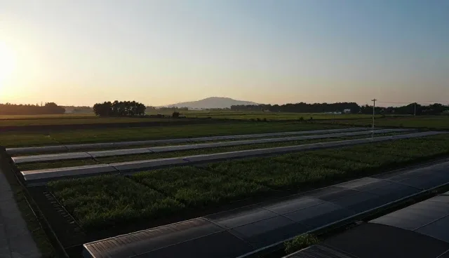 网络推广中常见问题及务实解决方案解析