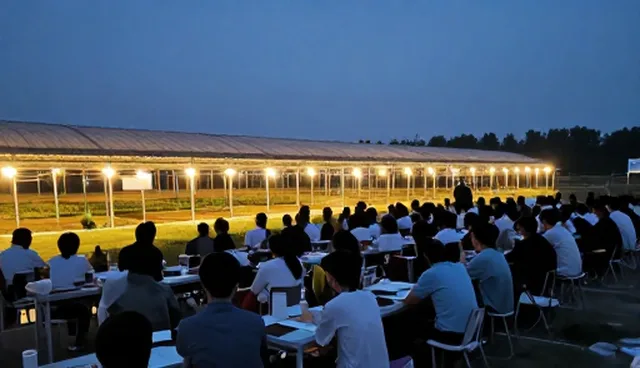 学习规划在师资培训中的维护机制与适用条件分析