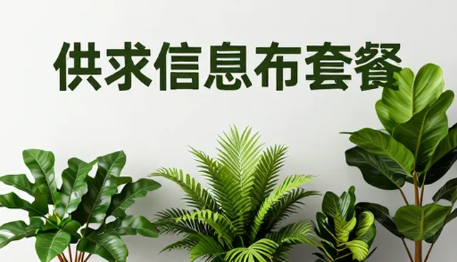 供求信息发布系统如何实现高效推广与适用性优化