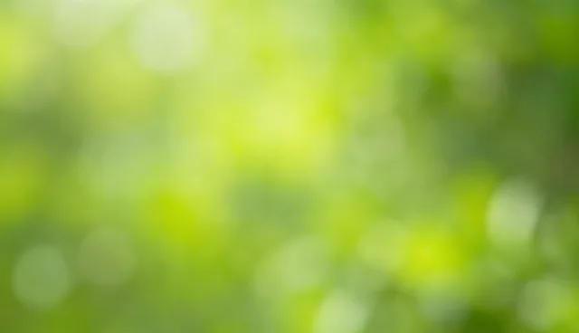 系统优化中的检查要点与管理办法