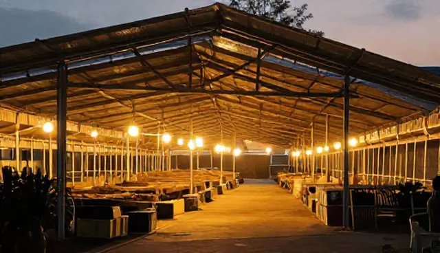 市场调研报告数据准确性适用情况与限制