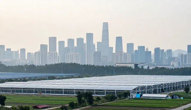 技术支持在系统集成中的实际应用与价值